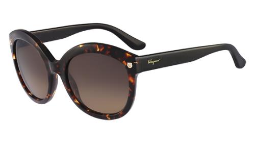 Picture of Salvatore Ferragamo Sunglasses SF677S
