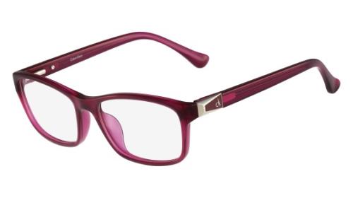 Picture of Calvin Klein Platinum Eyeglasses CK5861