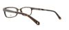 Picture of Penguin Eyeglasses THE LESTER