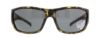 Picture of Smith Sunglasses FRONTMAN/S