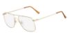 Picture of Flexon Eyeglasses 10