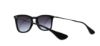 Picture of Ray Ban Sunglasses RB4221