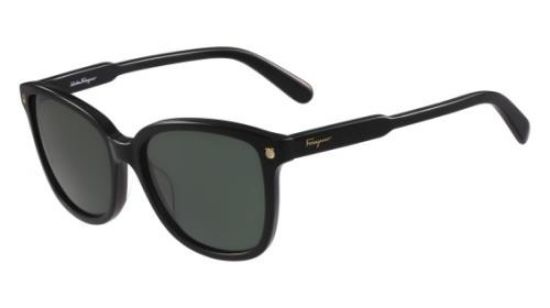 Picture of Salvatore Ferragamo Sunglasses SF815S