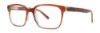 Picture of Penguin Eyeglasses THE CURTIS