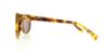 Picture of Cole Haan Sunglasses CH627