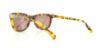 Picture of Cole Haan Sunglasses CH627