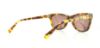 Picture of Cole Haan Sunglasses CH627