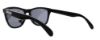 Picture of Oakley Sunglasses FROGSKINS