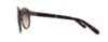 Picture of Giorgio Armani Sunglasses AR6009