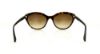 Picture of Giorgio Armani Sunglasses AR8033