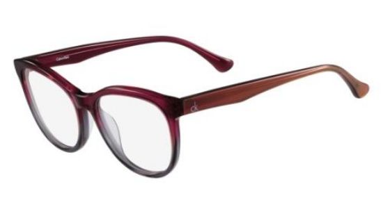 Picture of Calvin Klein Platinum Eyeglasses CK5923