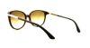 Picture of Kate Spade Sunglasses SHAWNA/S