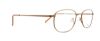 Picture of Flexon Eyeglasses 600