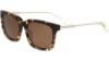Picture of Cole Haan Sunglasses CH6006