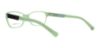 Picture of Emporio Armani Eyeglasses EA3004