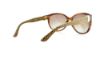 Picture of Salvatore Ferragamo Sunglasses SF652SL