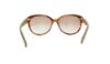 Picture of Salvatore Ferragamo Sunglasses SF652SL