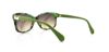 Picture of Dvf Sunglasses 568S LAYLA