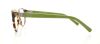 Picture of Calvin Klein Platinum Eyeglasses 5781