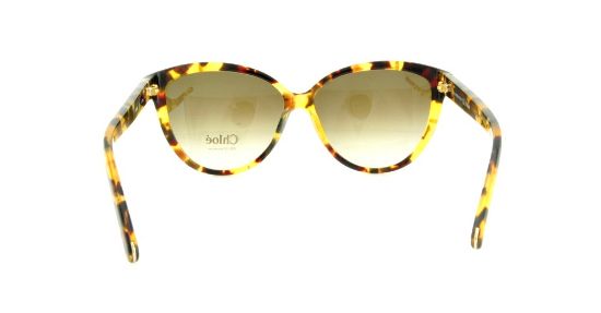 Picture of Chloe Sunglasses CE620S