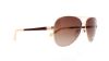 Picture of Cole Haan Sunglasses CH7000