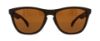 Picture of Oakley Sunglasses FROGSKINS