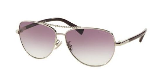 Picture of Coach Sunglasses HC7058 L136