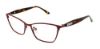 Picture of Bcbgmaxazria Eyeglasses ROSETTE