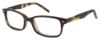 Picture of Ocean Pacific Eyeglasses 842