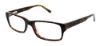 Picture of Junction City Eyeglasses FOREST PARK