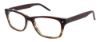 Picture of Ocean Pacific Eyeglasses CANNON BEACH