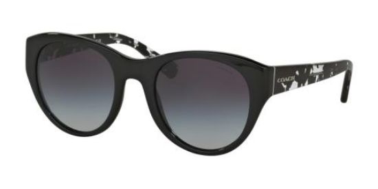 Picture of Coach Sunglasses HC8167
