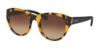 Picture of Coach Sunglasses HC8167