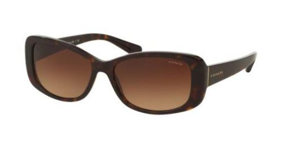 Picture of Coach Sunglasses HC8168 L156