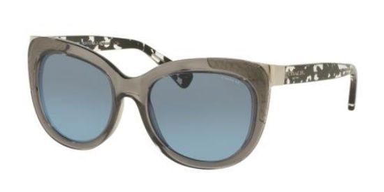 Picture of Coach Sunglasses HC8171 L152