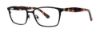 Picture of Vera Wang Eyeglasses V386