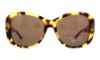 Picture of Ralph Lauren Sunglasses RL8144