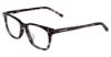 Picture of Converse Eyeglasses Q301