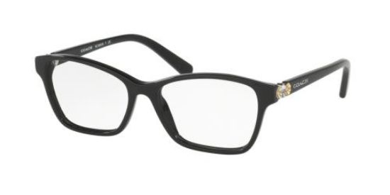 Picture of Coach Eyeglasses HC6091BF