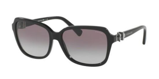 Picture of Coach Sunglasses HC8179 L1598