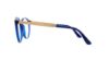 Picture of Etro Eyeglasses ET2619