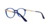 Picture of Etro Eyeglasses ET2619