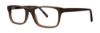 Picture of Timex Eyeglasses T290