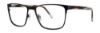 Picture of Timex Eyeglasses L068