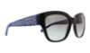 Picture of Coach Sunglasses HC8139