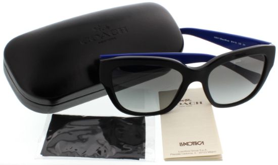 Picture of Coach Sunglasses HC8139
