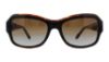Picture of Ralph Lauren Sunglasses RL8107Q