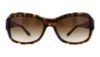 Picture of Ralph Lauren Sunglasses RL8107Q