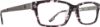 Picture of Spy Eyeglasses HEIDI