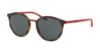 Picture of Polo Sunglasses PH3104